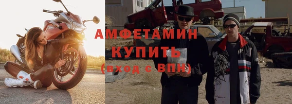прущие грибы Иннополис