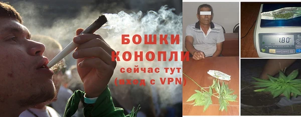 mdpv Рославль