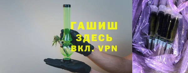 прущие грибы Инта