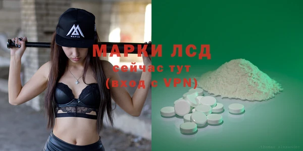 прущие грибы Инта