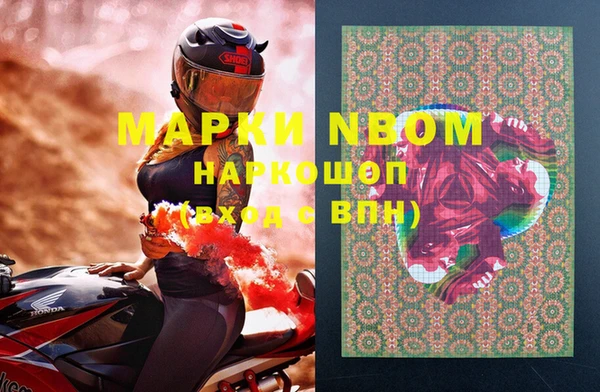 прущие грибы Иннополис