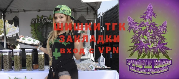 прущий лед Инсар