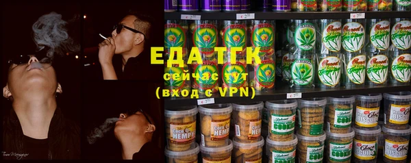 прущие грибы Инта
