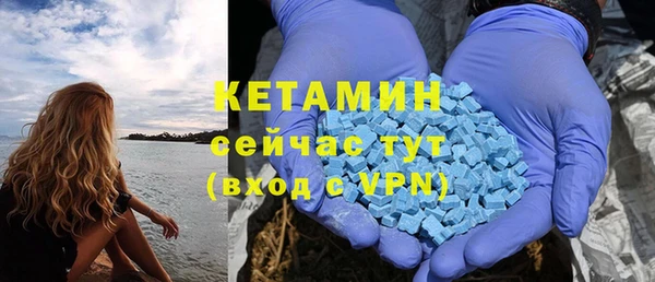прущие грибы Иннополис