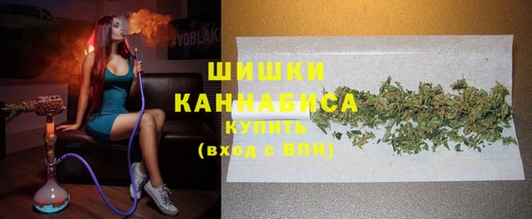 прущий лед Инсар