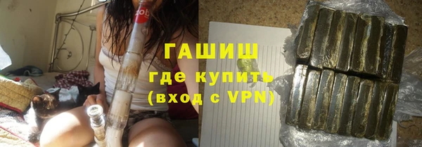 прущие грибы Инта