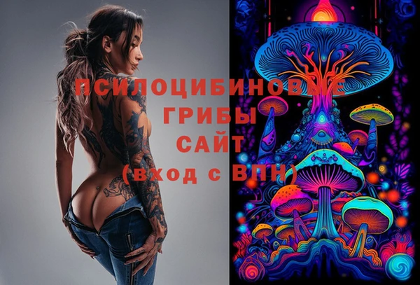 кокс Гвардейск